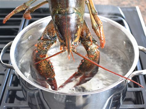 lobster potn|How to make a Lobster Pot part 1 .